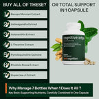 Cognitive Edge Bacopa Memory Supplement - Calm Focus, Daily Clarity & Retention - 7 Natural Ingredients Including L-Theanine, Ashwagandha, PQQ, Astaxanthin - Caffeine-Free Brain Support (60 Capsules)