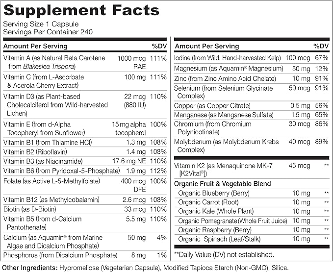 NATURELO Mens Multivitamins - One Daily Multivitamin for Men with Vitamins, Minerals & Organic Whole Foods, Boost Energy & Health, Non-GMO, 240 Vegetarian Capsules (Pack of 2)