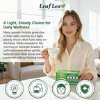 LeafLea 40 Green Tea Bags, 100% Natural & Pure from Green Tea Leaves, Smooth & Refreshing, Everyday Wellness with Natural Caffeine Content, Sugar-Free, Non-GMO, Individually Wrapped for Freshness