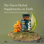 Gaia Herbs Ginger-Turmeric Postbiotic - Healthy Gut Support* - 60 Vegan Liquid Phyto-Caps (30 Servings)