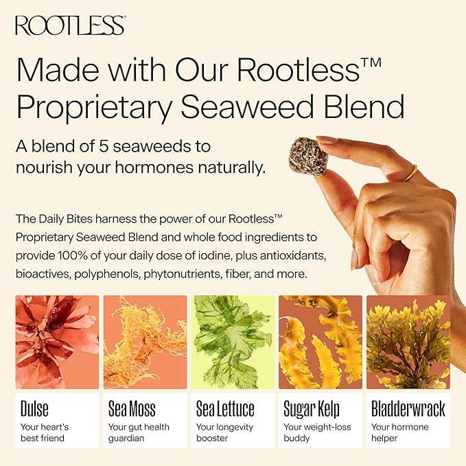 Rootless Seaweed Daily Bites – Orange Pistachio & Coconut Chai – 2 Week Supply for Hormone & Thyroid Health | 100% Daily Iodine, Whole Food Ingredients – 2 Pack