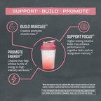 Creatine Monohydrate Powder Micronized PreWorkout Recovery Supplement | Support Muscle Building Strength Training Cognition | Vegan & Keto Friendly Easily Mixes Pop Box 30 Servings, Raspberry Flavored