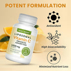 Liposomal - Vitamin c 1000mg - 60 Vitamin c Capsules - Higher Absorption,bioavailability liposomal Vitamin c by Moon and Mercury