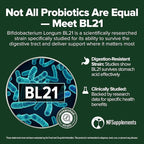 Bifidobacterium Longum Probiotic 240 Tablets (4 Month Supply) – Researched Strain BL21 – 3 Billion CFU – Digestive Health & Microbiome Support – GMP Certified (240, Bifidobacterium Longum)