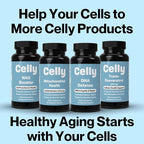 Celly Senolytic Complex | Longevity Supplement for Healthy Aging and Cellular Health with Quercetin and Fisetin | Targets Senescent Cells | 30 Servings | Non-GMO & 3rd Party Tested
