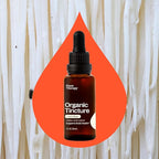 Plant Therapy Organic Lion's Mane Tincture 30 mL (1 oz) Supports Brain Health, Mental Clarity & Memory, Potent & Natural Extraction Process, Vegan, Non GMO, Gluten Free, Liquid, 1 Bottle