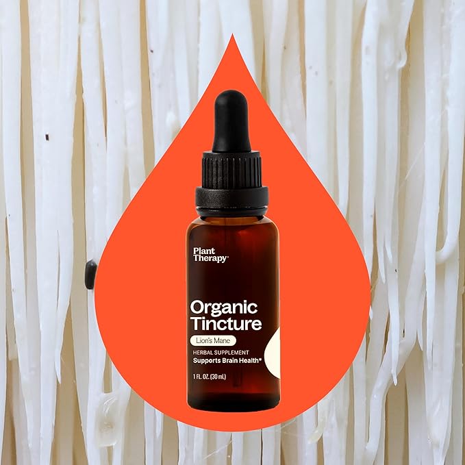 Plant Therapy Organic Lion's Mane Tincture 30 mL (1 oz) Supports Brain Health, Mental Clarity & Memory, Potent & Natural Extraction Process, Vegan, Non GMO, Gluten Free, Liquid, 1 Bottle