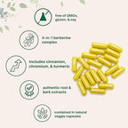 Micro Ingredients Berberine 500mg with Ceylon Cinnamon, 240 Veggie Capsules | High Absorption Berberine HCI Supplement + Turmeric Root & Cinnamon Bark Extract | Non-GMO, Gluten Free