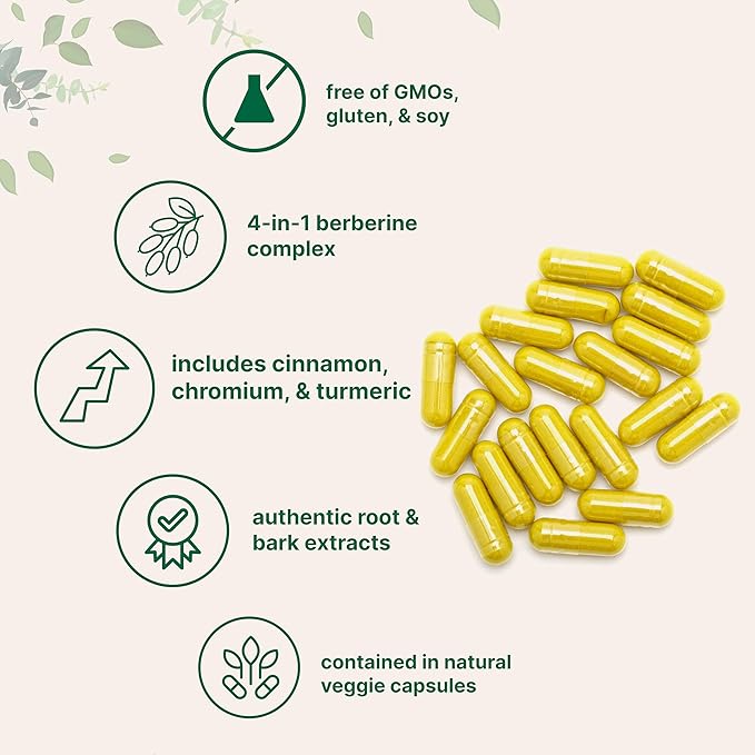 Micro Ingredients Berberine 500mg with Ceylon Cinnamon, 240 Veggie Capsules | High Absorption Berberine HCI Supplement + Turmeric Root & Cinnamon Bark Extract | Non-GMO, Gluten Free