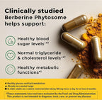 Nature Made Better Absorption Berberine Phytosome Supplement, 1100mg Per 2 Capsules Daily, Berberine Supplement for Cardiovascular Health Support, 60 Capsules, 30 Day Supply