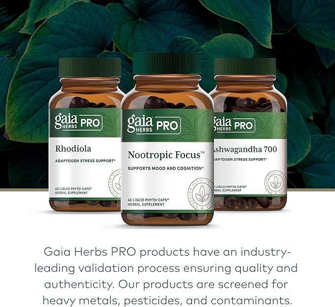GAIA HERBS PRO Nootropic Focus - Brain Health Support Supplement* - Nootropic Supplement with Saffron, Ginkgo Leaf Extract & Lemon Balm - Vegan, Gluten-Free - 40 Liquid Phyto-Caps (20 Servings)