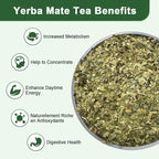 Unsmoked Yerba Mate Tea Bags, Natural Organic Yerba Matte Rich in Chlorophyll, Antioxidants and Vitamins, 30 Tea Bags