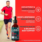 E2H Red Banded Polypore Extract - Mushroom Supplement Formula for Immune Support, Digestive Health, Energy and Natural Immunity Boost (2 Bottles)