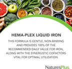 NaturesPlus Hema-Plex Liquid Iron, Mixed Berry - 8.5 oz - Iron & Essential Nutrients - Vegan, Gluten Free - 25 Servings