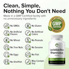 Lactobacillus Rhamnosus Probiotic 240 Tablets (4 Month Supply) – Researched Strain LRa05 – 3 Billion CFU – Digestive Health & Microbiome Support – GMP Certified (240, Lactobacillus Rhamnosus)