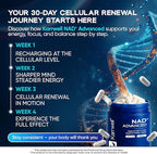 NAD+ Advanced 500MG Liposomal NAD+ with Resveratrol - NAD Supplement for Men & Women - NMN Alternative for Cellular Energy & Healthy Aging - 60 Capsules, 30 Day Supply