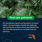 Saw Palmetto for Men Prostate Health Supplement, Medicinal Grade - Pumpkin Seed Oil - Graminex - Nettle Supports Urinary Function & Hair Loss Prevention, DHT Blocker