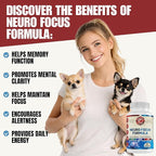 Neuro Focus Formula | Supports Mental Clarity & Focus | Vitamin A,C,D,E,B6 | Gluten Free, Sugar Free, Lactose Free | 60 Capsules | Made in The USA.