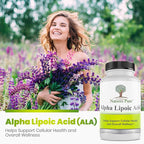 Simply Natures Pure Alpha Lipoic Acid 600mg 240 Veggie Capsules, Non-GMO Thioctic Acid 8 Month Supply