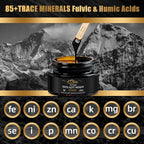 Himalayan Pure Shilajit Resin 600mg 50 Servings with Fulvic Acid & 85+ Trace Minerals Vegan Non-GMO Energy Supplement for Men & Women Ancient Ayurvedic Formula