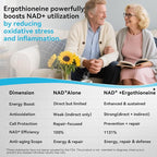 PQM NAD+ 600mg with Ergothioneine 24mg | Supports Cellular Energy, Anti Aging & Vitality | 99% Pure NAD Supplement | 60 Vegetarian Capsules Third-Party Tested