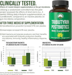 CoreBiome Tributyrin Postbiotic Supplement Clinically Tested for Gut Health. More Effective Than Sodium Butyrate Capsules. High Bioavailability Post Biotics for Digestive, Leaky Gut, Colon, Microbiome
