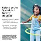 Klaire Labs SFI Health Ther-Biotic Kids Chewable Probiotic - GI Health + Immune Support for Kids - Chewable 25b CFU Lactobacillus + Bifidobacterium - Hypoallergenic, Dairy-Free (60 Tablets / 2 Pack)