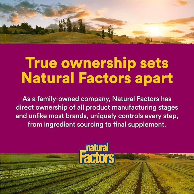 Natural Factors - Vitamin C 500mg, 100% Natural Fruit Chew, Mixed Fruit, 180 Chewable Wafers