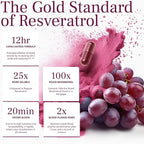 VINIA Piceid Resveratrol Supplement Capsules. Increases Blood Flow and Nitric Oxide. Blood Pressure and Heart Health Support | Antioxidant from Red Grapes | Non-GMO, 60 Count