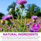 Milk Thistle Liquid Drops,Milk Thistle Supplement for Liver Wellness,Digestive Health,Liquid Pure Vegan Milk Thistle Extract 600 mg per Serving,Sugar & Alcohol-Free,Non-GMO, 2.02 Fl Oz
