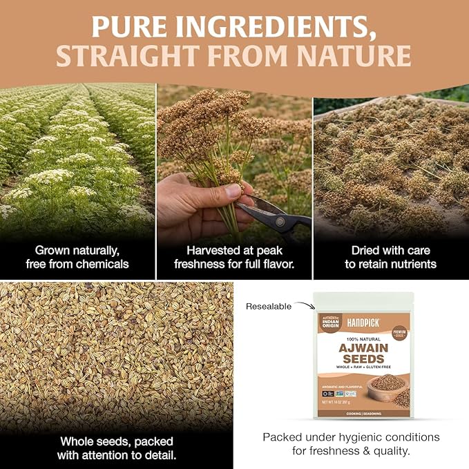 HANDPICK Ajwain Seeds (397g/14oz) Whole Carom Seeds | Vegan, Gluten free, Non GMO | Raw Carom Bishops, Indian Origin | Packed in Resealable Ziplock Pouch