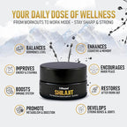 Lifecykel Pure Shilajit Resin – 15g | Wild-Harvested, Mineral-Rich Shilajit Supplement for Strength | Third-Party Tested, Premium Quality | Natural Flavouring