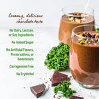 Orgain Organic Vegan Protein Powder + Greens, Creamy Chocolate Fudge - 21g Plant Based Protein, Gluten Free, Dairy & Lactose Free, Soy Free, No Sugar Added, Iron & Prebiotics for Gut Health - 1.94lb