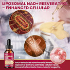 Liposomal NAD Supplement - 1200mg NAD+ Liquid Drops for Women & Men with Resveratrol, Black Pepper Extract - Support Anti-Aging, Brain & Cellular Mitochondrial Health - 2 Fl Oz, Pineapple Flavor