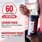 Force Factor Creatine Monohydrate Powder, 5g Micronized Dose to Support Muscle Growth, Strength, Recovery, Cognitive Health & Memory, Unflavored, 60 Servings
