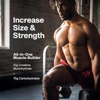 MuscleTech Creatine Monohydrate Powder Cell-Tech Creatine Post Workout Recovery Drink Muscle Builder For Men & Women Muscle Building Supplements Fruit Punch, 2.90 lbs (27 Serv)