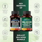 Shilajit Sea Moss Ashwagandha Combo Bundle - Black Seed Oil, Turmeric, Rhodiola Rosea, Panax, Ginseng Supplement | 120 Capsules, Better Than Gummies, Resin | Seamoss for Men & Women