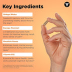 Vital Vitamins Brain Supplements for Memory and Focus (3 Pack) – Nootropic Brain Booster with Ginkgo Biloba, Rhodiola, B12 – Caffeine-Free Support for Adults & Seniors – 90-Day Supply