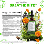 Mullein Drops for Lungs Liquid Chlorophyll Mullein Leaf Extract Supplement Elderberry Sea Moss Spirulina Chlorella Lobelia Marigold Licorice Marshmallow Lung Detox Cleanse Tincture Men Women 2 fl oz