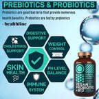 Vegan Probiotic Plus B12 & FOS - 22 Billion CFU Synbiotics Prebiotics and Probiotics for Digestive Health, IBS, Mood Support - B12 Pre Pro Post Biotics for Women & Men - 60 Gluten-Free Capsules