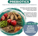 Vital Planet - Vital Flora Ultra Daily Probiotic 60 Billion CFU, 60 Diverse Strains, 7 Organic Prebiotics, Immune Support, Digestive Health Shelf Stable Probiotics for Women and Men 30 Capsules