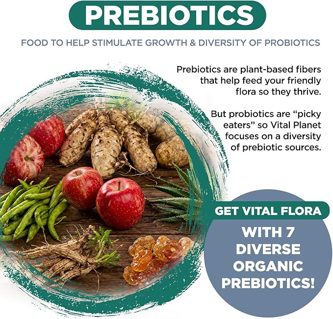 Vital Planet - Vital Flora Ultra Daily Probiotic 60 Billion CFU, 60 Diverse Strains, 7 Organic Prebiotics, Immune Support, Digestive Health Shelf Stable Probiotics for Women and Men 30 Capsules