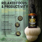 KEY ELEMENTS Smart Lions Mane Extract for Memory, Focus & Brain Health - Lions Mane Tincture with Ashwagandha and L Theanine - Liquid Lion's Mane Nootropic Mushroom Supplement - 2 Month Supply