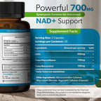 NMN Synergy+ 700mg – Premium NMN Supplement with Resveratrol & Pterostilbene | Advanced NAD+ Supplement for Cellular Energy, & Wellness Support | Non-GMO, Vegan, 60 Capsules