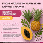Digestive Enzymes for Women - Multi Digestive Enzymes | Papaya | Bromelain | Probiotic & Prebiotics - Gut & Digestion Support, Bloating Relief - Vegan, Lab Tested - Made in USA - 90 Capsules, One/Day