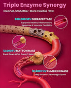 Nattokinase Supplement 12,000 FU (Max Strength) Serrapeptase 360,000 sPU, Lumbrokinase 10,000 FUV & CoQ10 -Systemic Enzymes Complex for Cardiovascular & Circulatory Health Support-100 Capsule