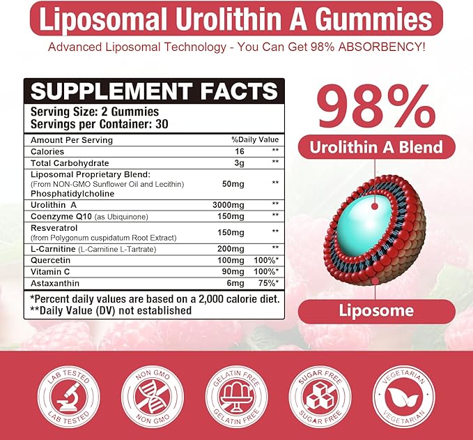 2 Pack Liposomal 3000mg Urolithin A Gummies Complex CoQ10, Resveratrol, L-Carnitine, Quercetin, Astaxanthin | 7-in-1 Mitochondrial Support Supplement for Cellular Support, Vitality & Wellness Aging