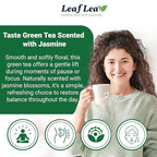 LeafLea 80 Jasmine Green Tea Bags, Green Tea with Natural Jasmine Aroma, Light Focus & Daily Balance, Delicate Floral and Smooth Taste, Caffeinated, Sugar-Free, Non-GMO, Vegan, Individually Wrapped