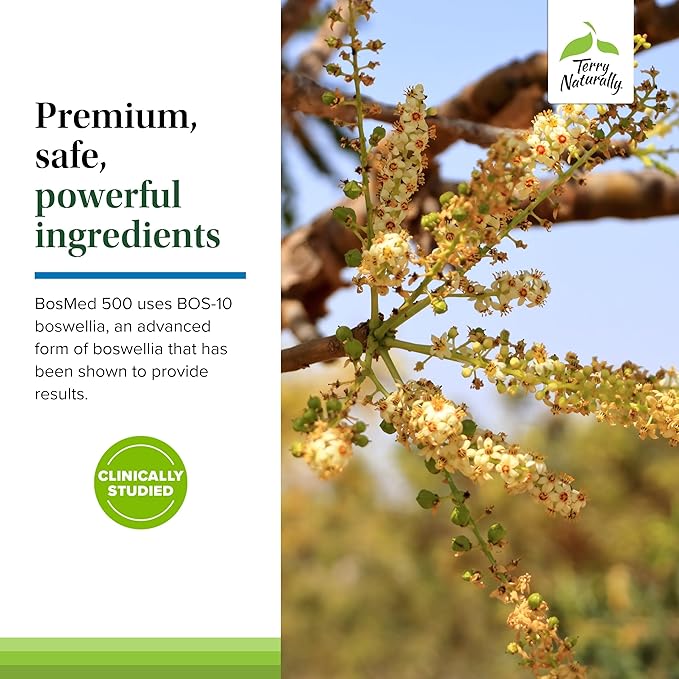 Terry Naturally BosMed 500 - Boswellia Serrata Extract Supplement - Dietary Supplement for Healthy Lung Support - Herbal Supplement Formula - 60 Softgels