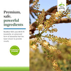 Terry Naturally BosMed 500 - Boswellia Serrata Extract Supplement - Dietary Supplement for Healthy Lung Support - Herbal Supplement Formula - 60 Softgels
